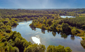 An aerial view of a river surrounded by trees.